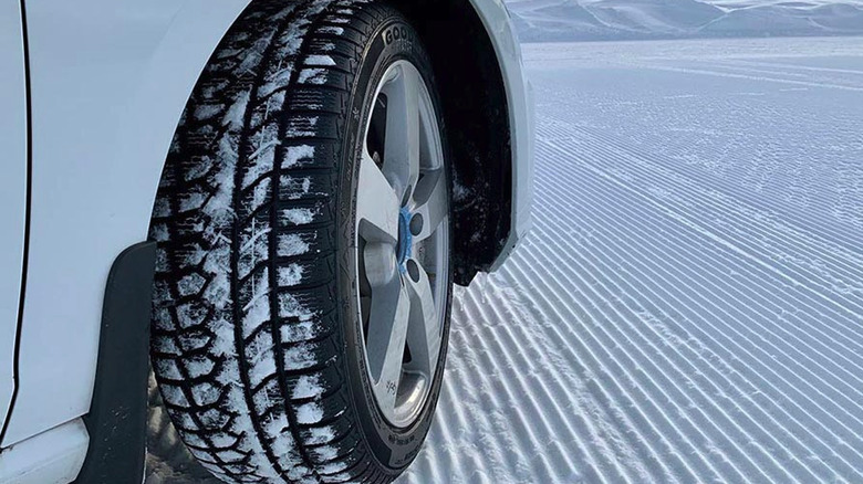 Goodride auto bild winter tire