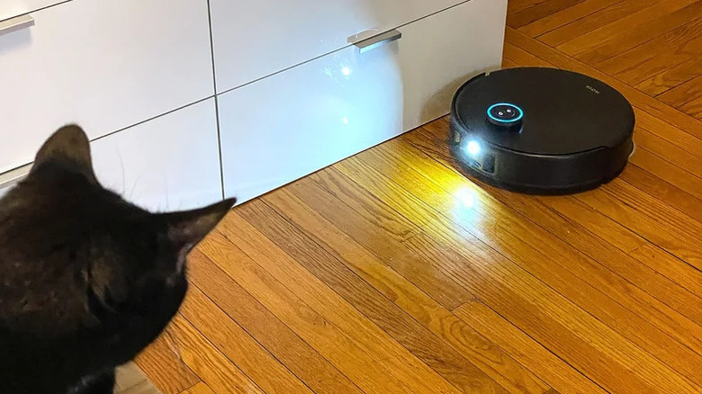 Mova V50 Ultra Complete Robot Vacuum being stared down by Rob's cat