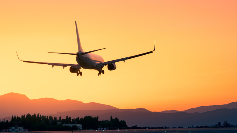 Airplane flying during sunset