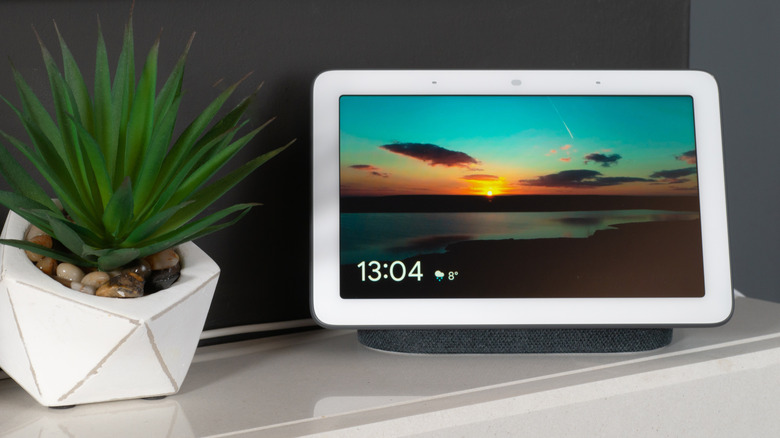 A Google Nest hub with a sunset screensaver on a counter next to a spikey plant in a white pot
