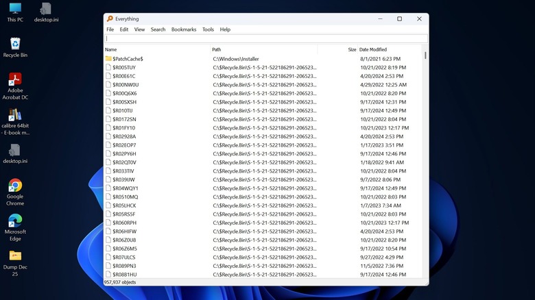 Everything app launched on a Windows PC