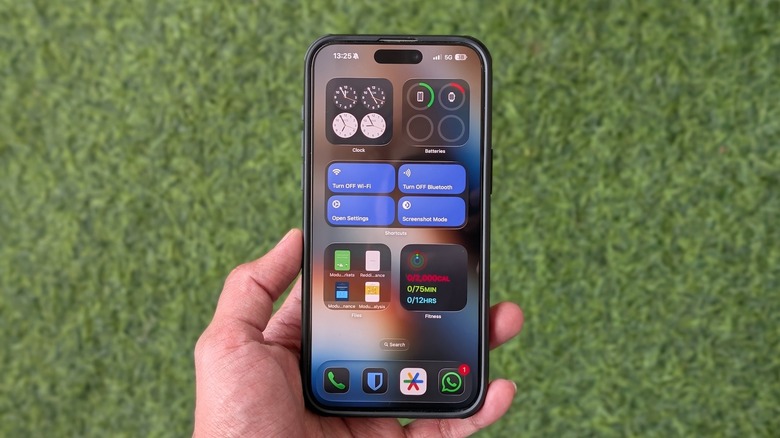 Widgets on an iPhone Home Screen.