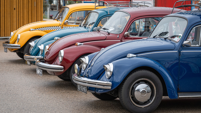 Line of classic volkswagen beetles