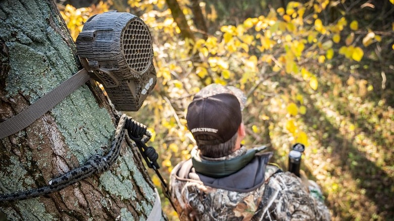 ZeroTrace unit attached to tree
