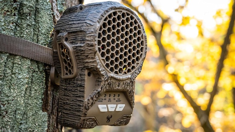 ZeroTrace gadget attached to tree
