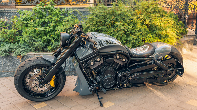 A black Harley-Davidson V-Rod motorbike parked on its kickstand next to a hedge.