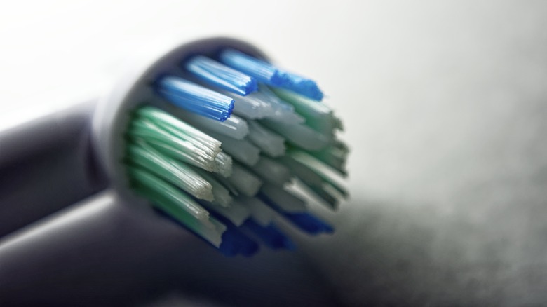 The head of an electric toothbrush lying on a surface