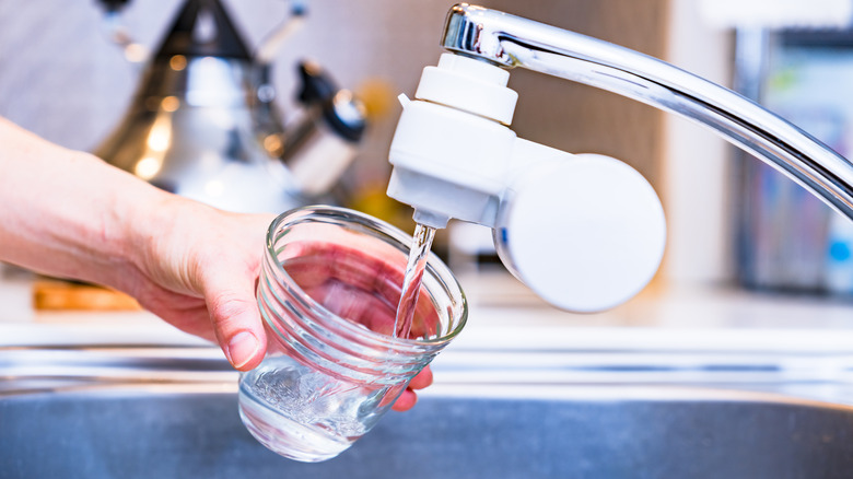 A person getting water from a filter attached to the sink's tap
