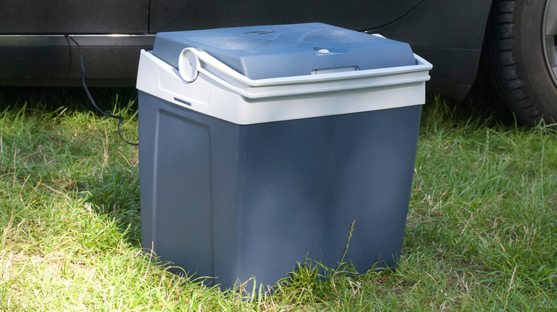 Electric ice cooler on grass
