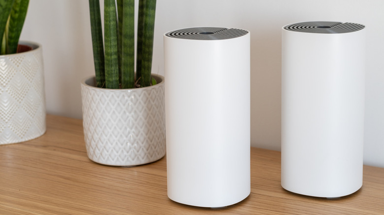 White cylindrical devices next to potted green plants