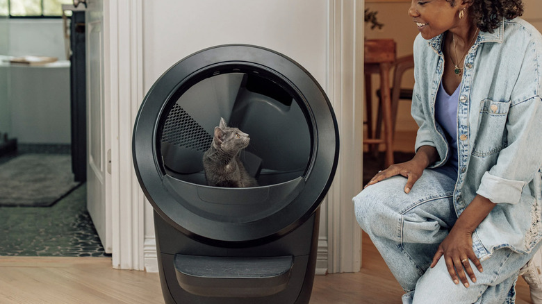 cat inside litter-robot
