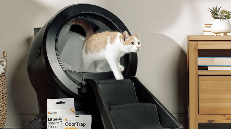 cat leaving litter-robot