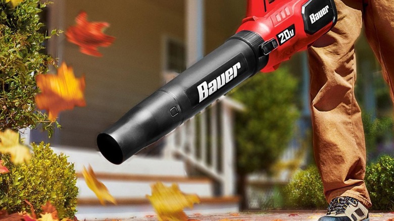 Person using leaf blower to clean walkway