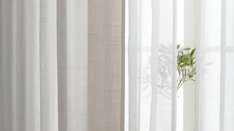 RITVA Curtains hanging over plant and window