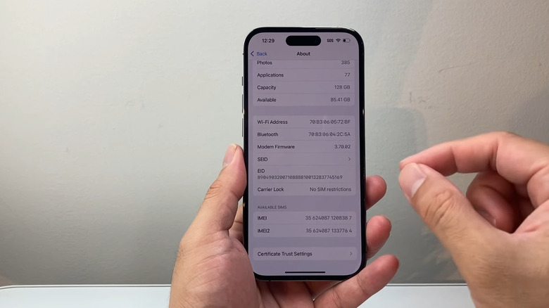 Person checking IMEI number in iPhone settings