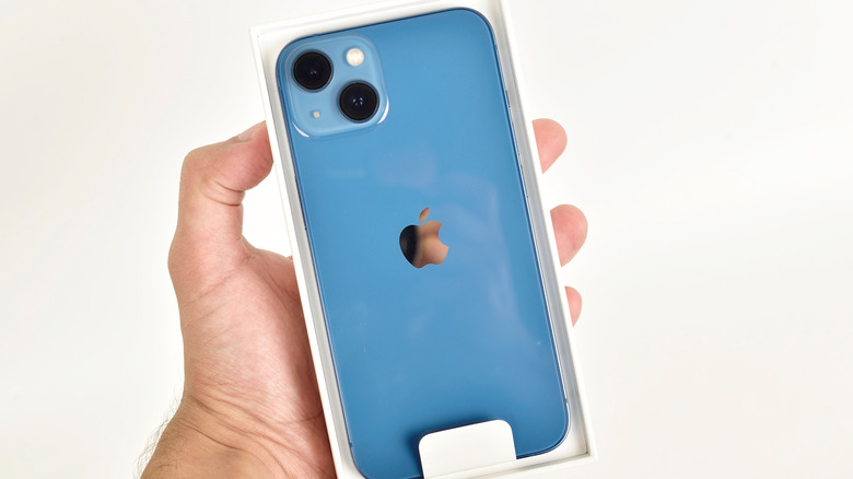 person holding an iPhone in the box, white background