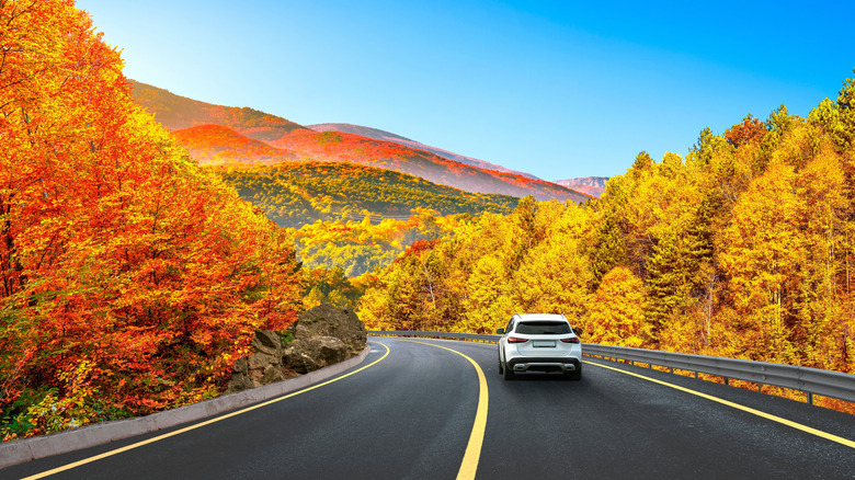 Car driving through fall foliage