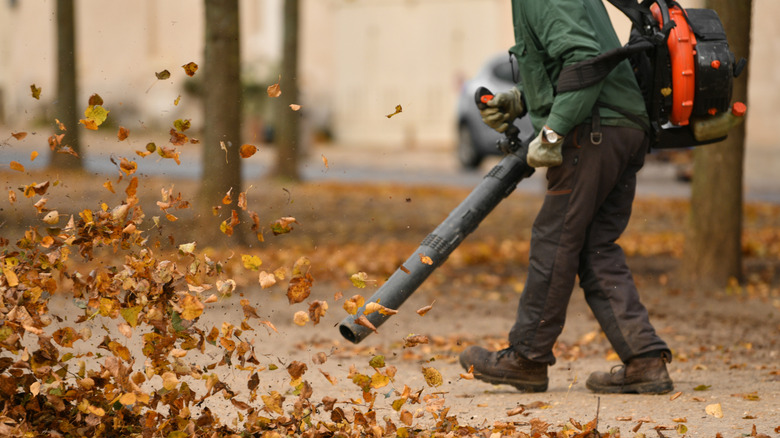 Person blowing leaves