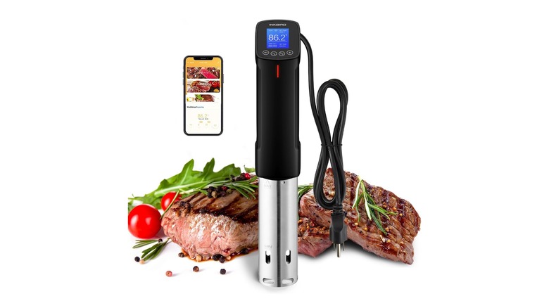 sous vide machine with app