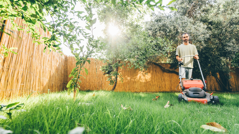 man mowing back yard