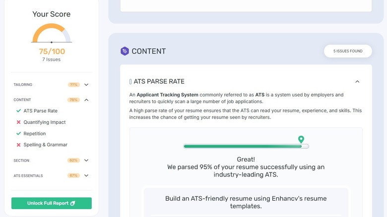 Screengrab of Erynn's ATS results from Enhancv