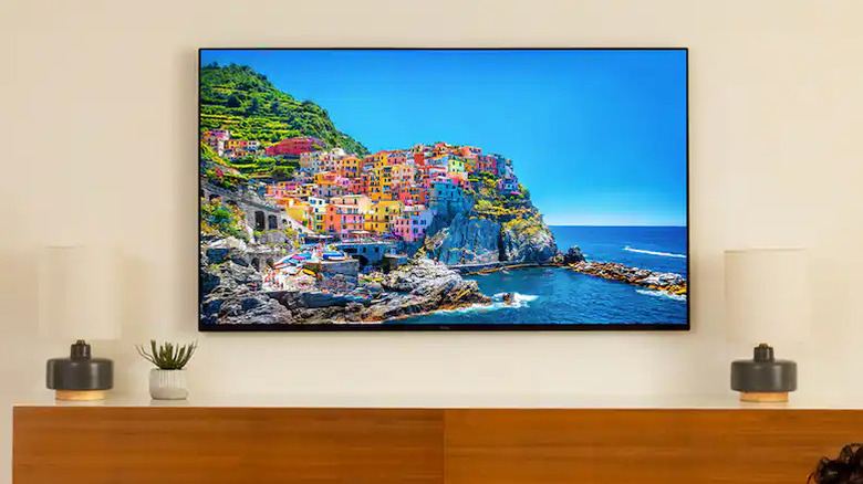 A Roku 55 Pro Series TV on the wall over a TV stand, and the TV is showing what looks like a colorful seaside town.