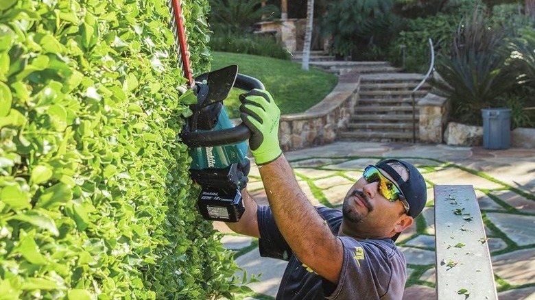 A man trimming the side of a hedge with the Makita 18V XHU07T .