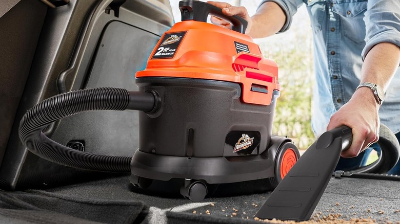 Person cleaning back of car