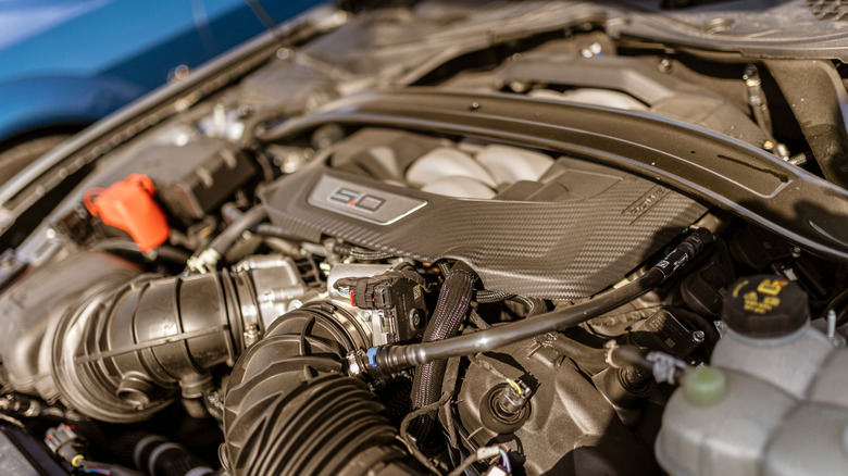 A close-up of a Ford Coyote 5.0L V8 engine in a Mustang GT engine bay.