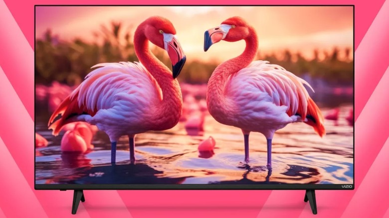 Vizio V4K43M-08 TV displaying flamingos on a pink background