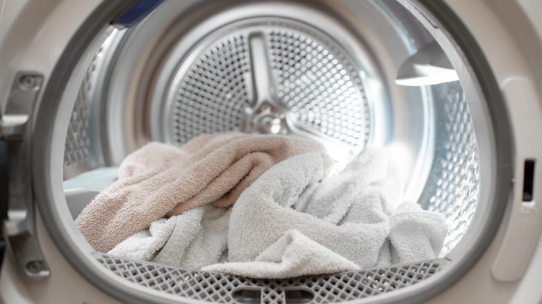 Some items in a tumble dryer.