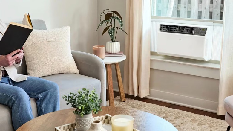 LG LW6023IVSM in a house window