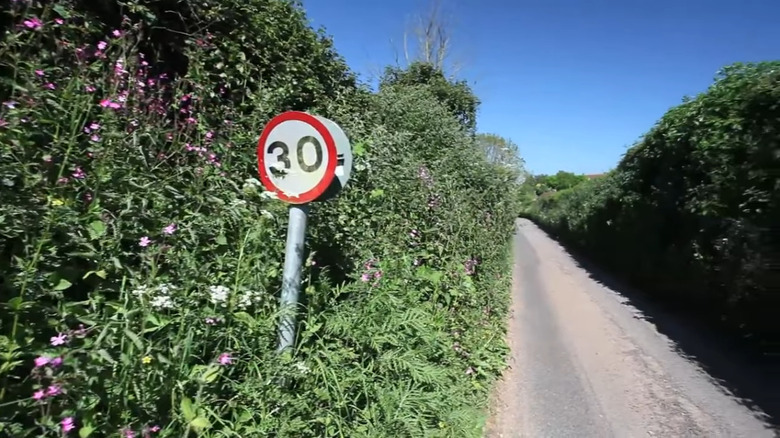 A snippet of Fosse Way with a 30KPH speed limit sign