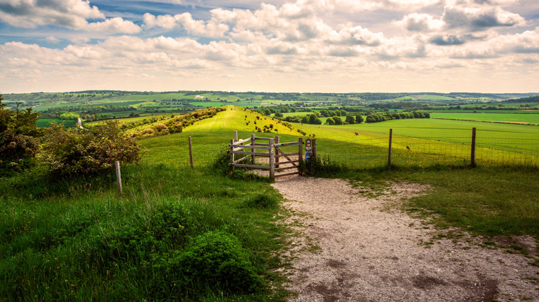 Part of the Ridgeway heading from Ivinghoe Beacon towards Whipsnape