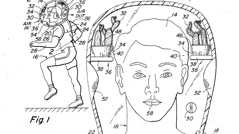 Greenhouse helmet patent fig