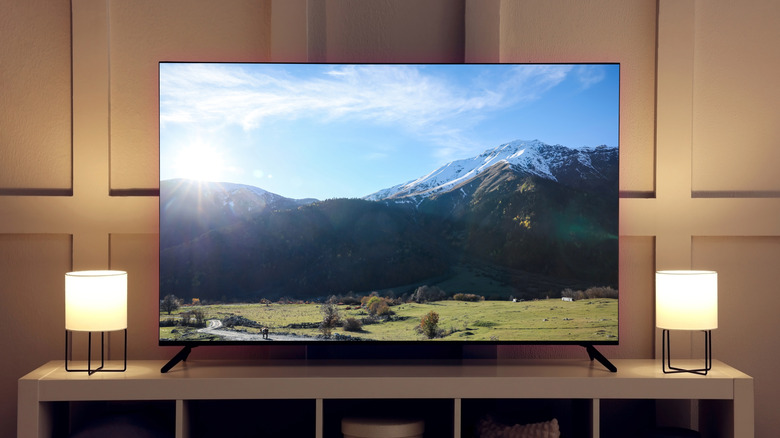 Landscape view on a TV screen