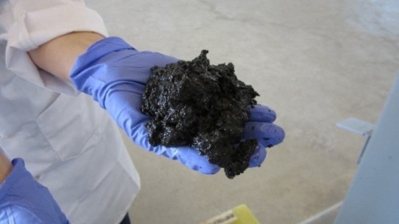 Sludge from wastewater treatment plant