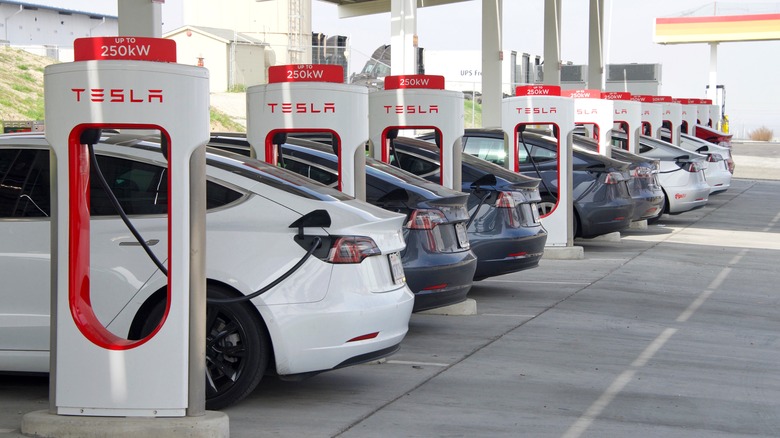 Teslas charging at superchargers