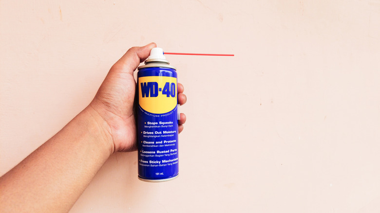 A hand holding can of WD-40
