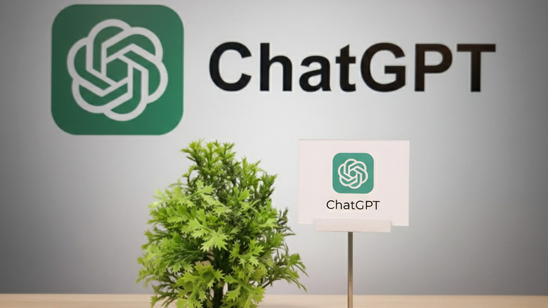 OpenAI logo and ChatGPT on a wall with a similar sign and a plant in the foreground