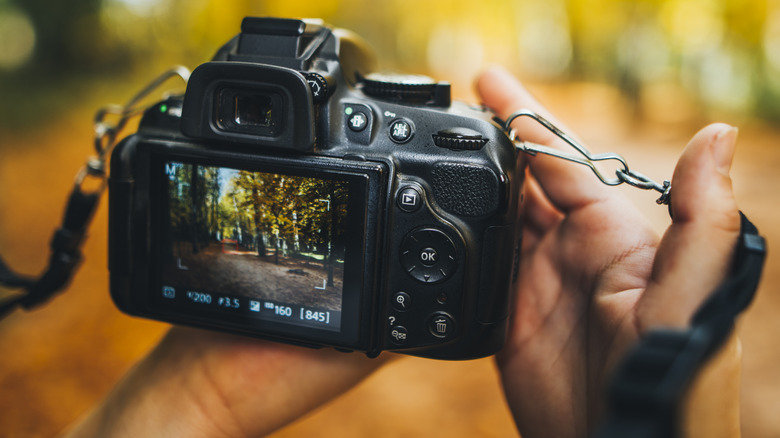 Shooting forest with DSLR