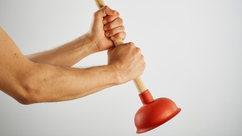 A pair of arms holding a plunger over a white background