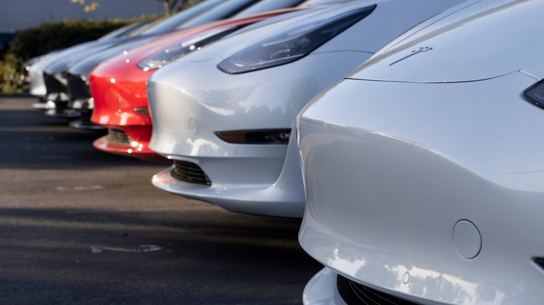tesla cars in parking lot