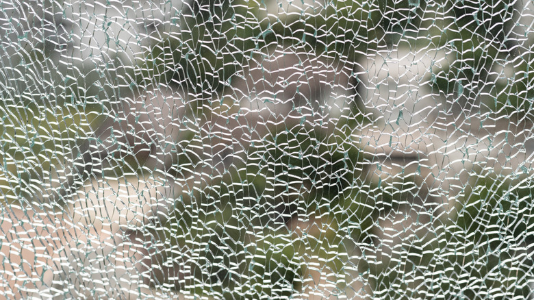 Cracked tempered glass with greenery on the other side.