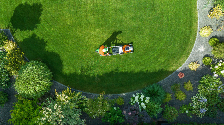 View from above of a person using a lawnmower.