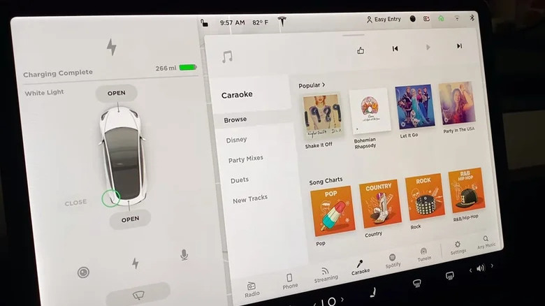 Tesla Caraoke screen