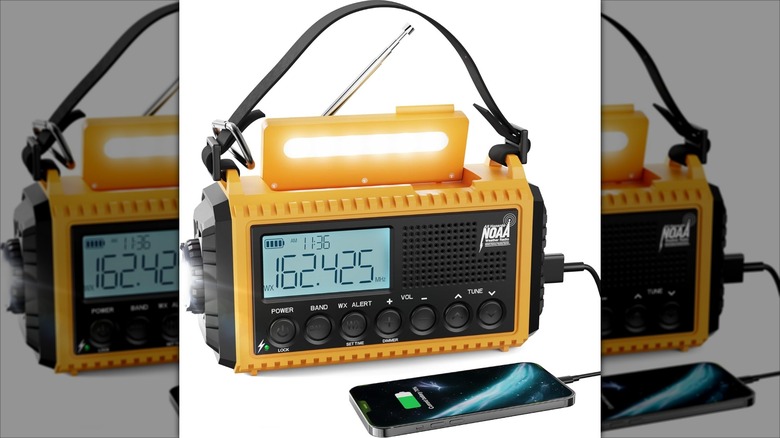 Raynic Emergency Radio