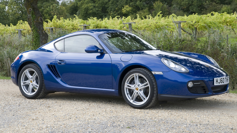 Blue 2010 Porsche Cayman profile in front of green vegetation