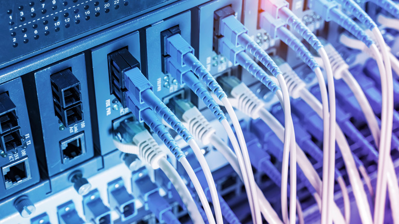 Fifer optic cables connecting to a complex network router