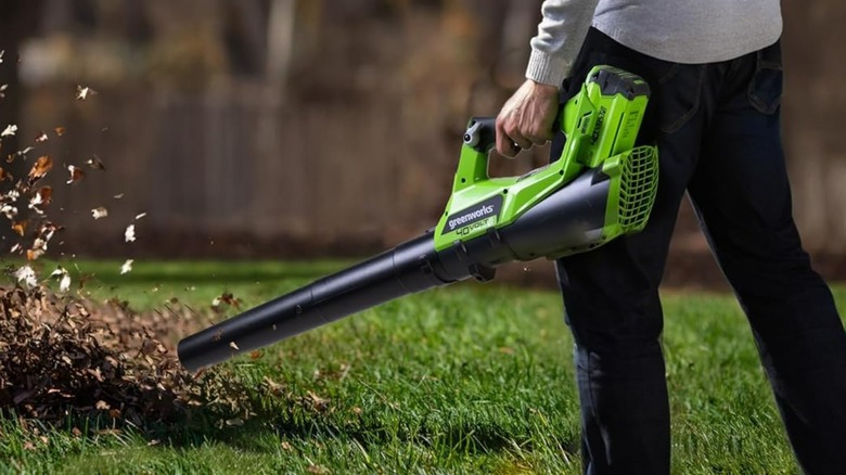 A person using a Greenworks blower on leaves.